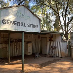 Themed Macropod Shelter