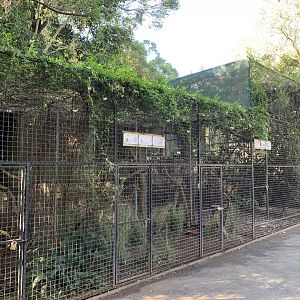 Owl Aviaries