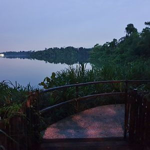 Walking path to the new Indian rhino exhibit