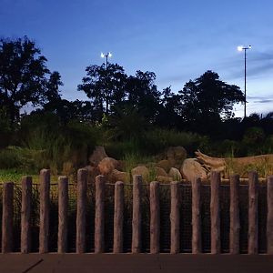 New Indian rhino exhibit