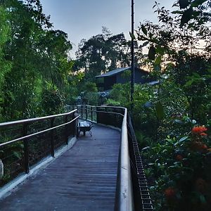 Wallaby Trail - Tasmanian Devil exhibit (under construction)
