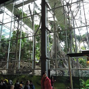 Bosque Inundado [2015]