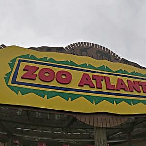 Welcome to Zoo Atlanta
