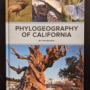 Phylogeography of California