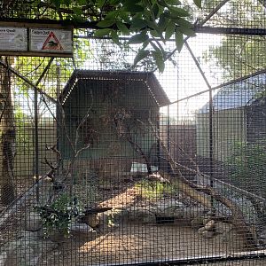 Eastern Quoll Enclosure