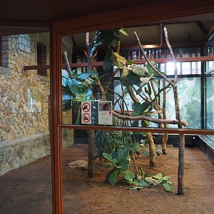 Second section of the Goodfellow's tree kangaroo exhibit, 2020-09-20