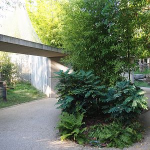 Walkway and viewing areas in the great ape area, 2020-09-20