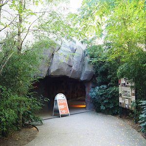 Access to the cave underneath the restaurant building, 2020-09-20
