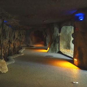 View in the cave under the restaurant, with gorilla viewing windows, 2020-09-20
