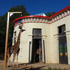 Giraffe side of the Egyptian Temple, 2020-09-20