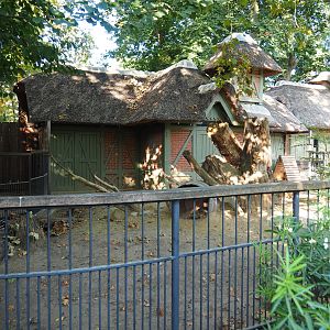 Historical small deer exhibit, currently home to Hermann's tortoises, 2020-09-20