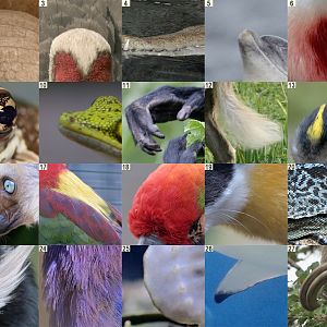 Mayday! Mayday! It's another photo puzzle!