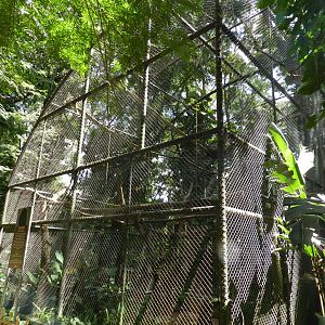 Howler monkey exhibit - Belo Horizonte zoo