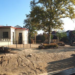 Savanna - Hybrid/Impure giraffe and Hartmann's mountain zebra paddock, 2020-09-20