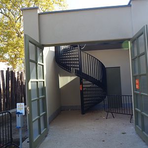 Access to new viewing area on the roof of the pig house, 2020-09-20