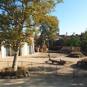 Hybrid/Impure giraffe and Hartmann's mountain zebra paddock seen from the viewing area on the pig house roof, 2020-09-20