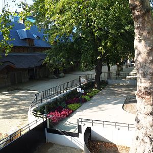 Bovine house, Part of the Southern white rhinoceros paddock and Viewing area, 2020-09-20