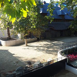 Part of the Southern white rhinoceros paddock with future connection to the giraffe/zebra area, 2020-09-20