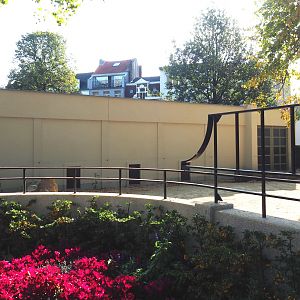 Side of the renovated pig house with small species gates, 2020-09-20