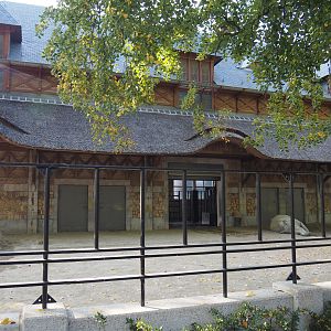 1908-1909 bovine house and part of the Southern white rhinoceros paddock, 2020-09-20