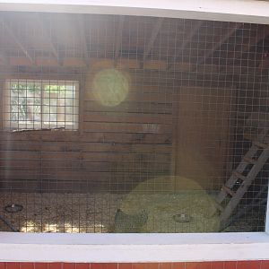 May. 2021 - Indiana Family Farm - Chicken Coop