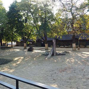 Southern white rhinoceros paddock, 2020-09-20