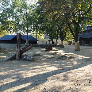 Southern white rhinoceros paddock, 2020-09-20