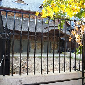 Future hoofstock/ostrich separation paddock next to the 1908-1909 bovine house, 2020-09-20