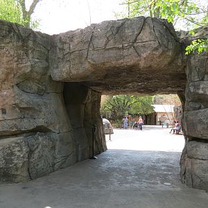 African Forest - Rocky Entry
