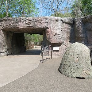 African Forest - Interpretive Village