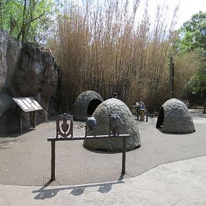 African Forest - Interpretive Village