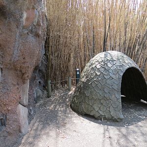 African Forest - Interpretive Village