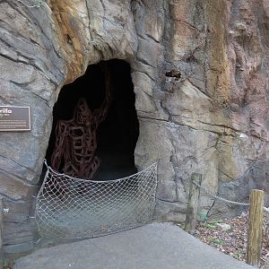 African Forest - Gorilla Sculpture in Niche
