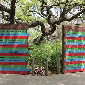 African Forest - Donor Boards