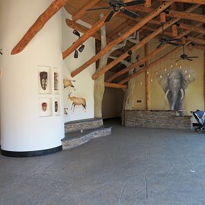 African Forest - The Arrival Building