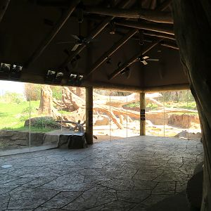 African Forest - The Arrival Building