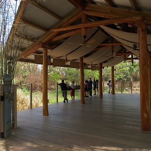 African Forest - Western Lowland Gorilla Exhibit - Viewing Shelter
