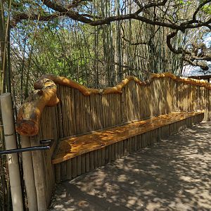 African Forest - Western Lowland Gorilla Exhibit - Visitor Path Bench