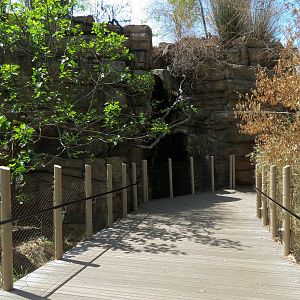African Forest - Visitor Path