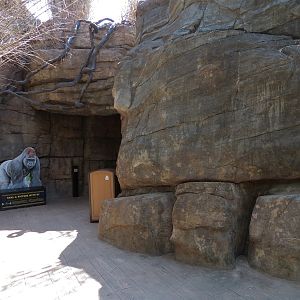 African Forest - Visitor Path