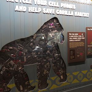 African Forest - The Great Ape Gallery - Cell Phone Interpretive Display