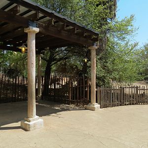 African Forest - Southern White Rhinoceros Exhibit - Viewing Area