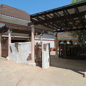 African Forest - Shani Market