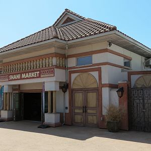 African Forest - Shani Market