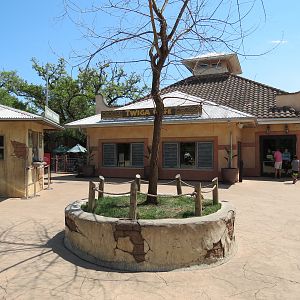 African Forest - Twiga Cafe