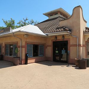 African Forest - Twiga Cafe