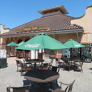 African Forest - Twiga Cafe