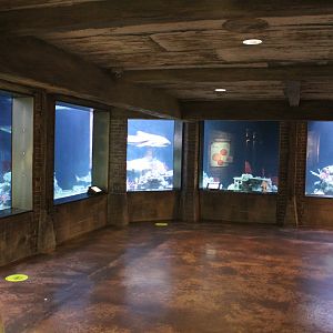 May. 2021 - Australian Adventure - Main Tank