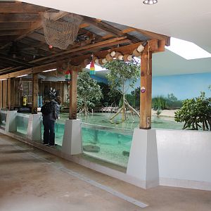 May. 2021 - Australian Adventure - Stingray Bay