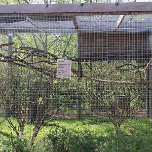 May. 2021 - Australian Adventure - Galah/Australian Magpie Exhibit